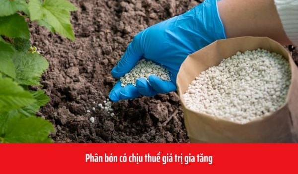 phân bón có chịu thuế gtgt không