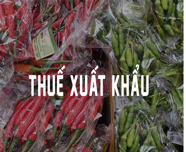 hàng xuất khẩu có chịu thuế gtgt không