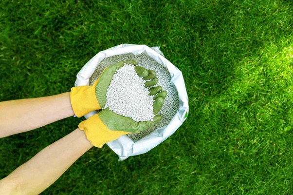 phân bón có chịu thuế gtgt không