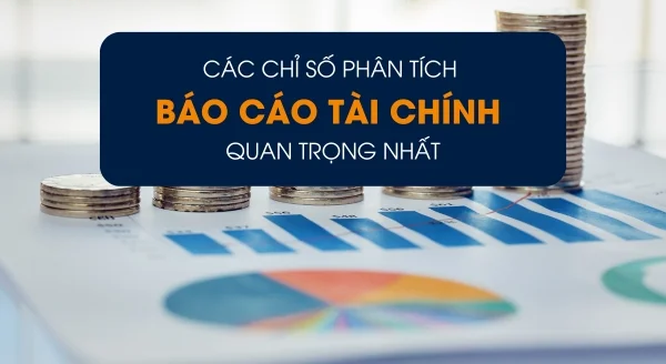 Các chỉ số phân tích báo cáo tài chính